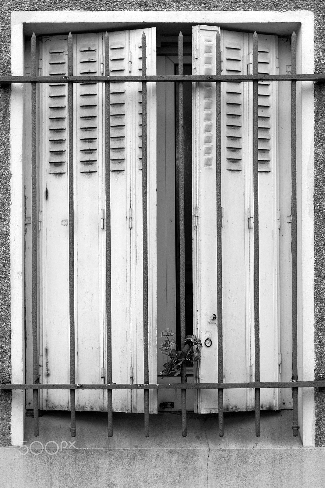 Nikon D80 + AF Nikkor 50mm f/1.8 N sample photo. Flowers behind bars photography