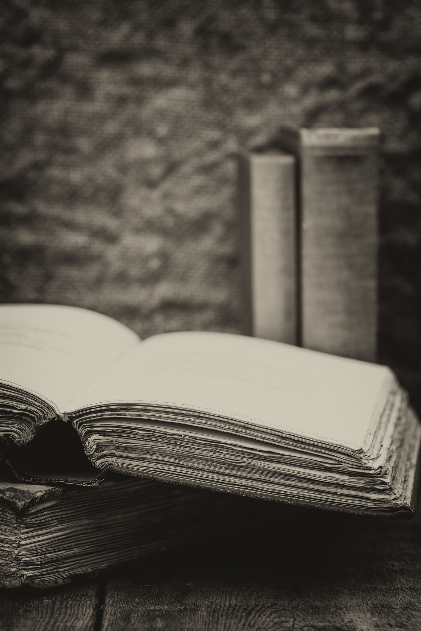 Nikon D600 + Sigma 105mm F2.8 EX DG Macro sample photo. Retro setting and effect of antique vintage books photography