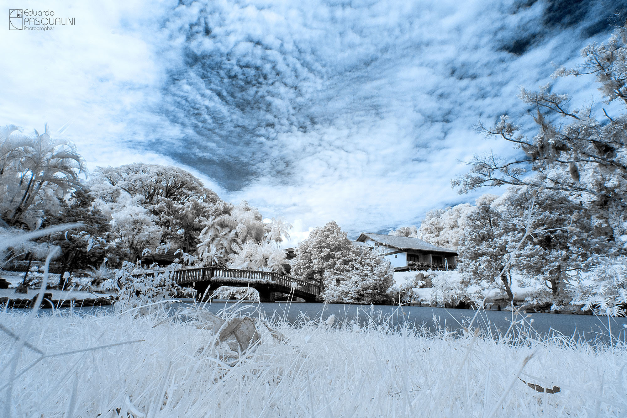 Canon EOS 30D + Sigma 10-20mm F3.5 EX DC HSM sample photo. Infrared garden photography