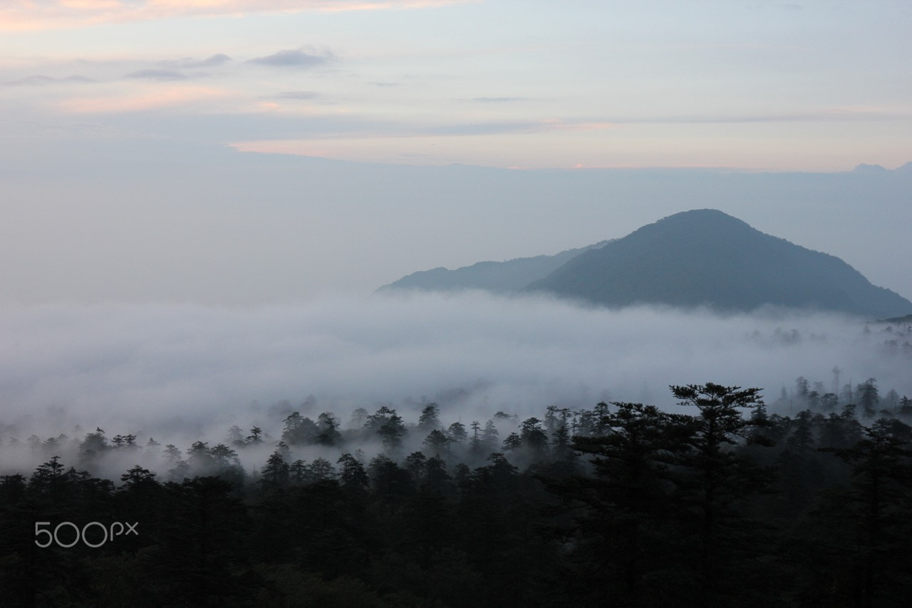 Canon EOS 550D (EOS Rebel T2i / EOS Kiss X4) + Canon EF 16-35mm F4L IS USM sample photo. Mount emei photography