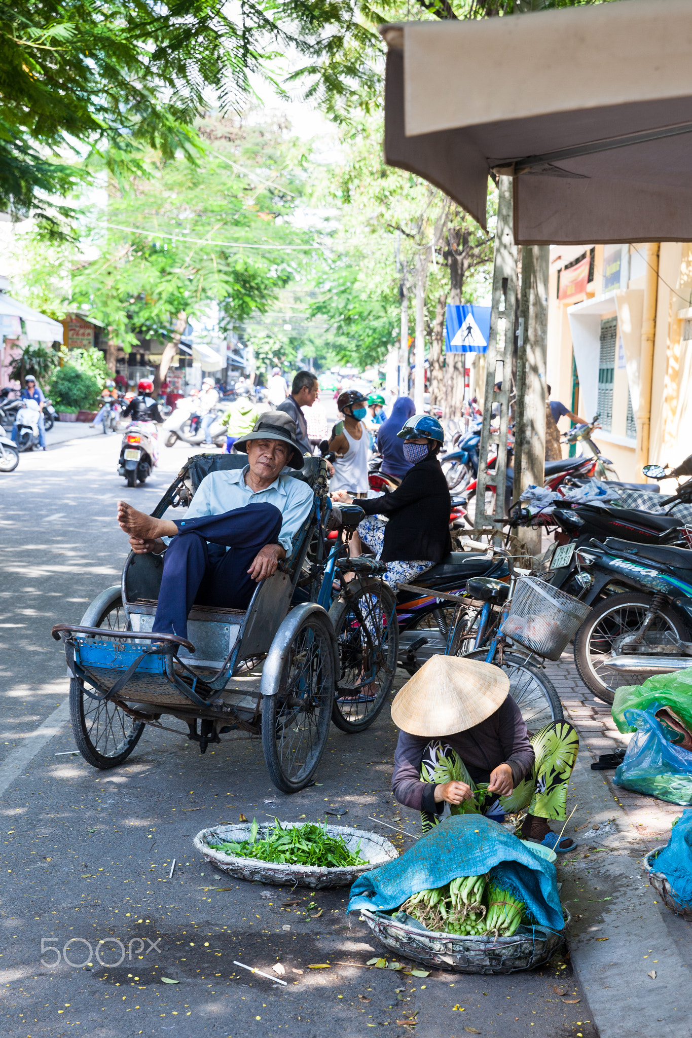 Vietnamese woman in traditional conical hat is sorting greens si