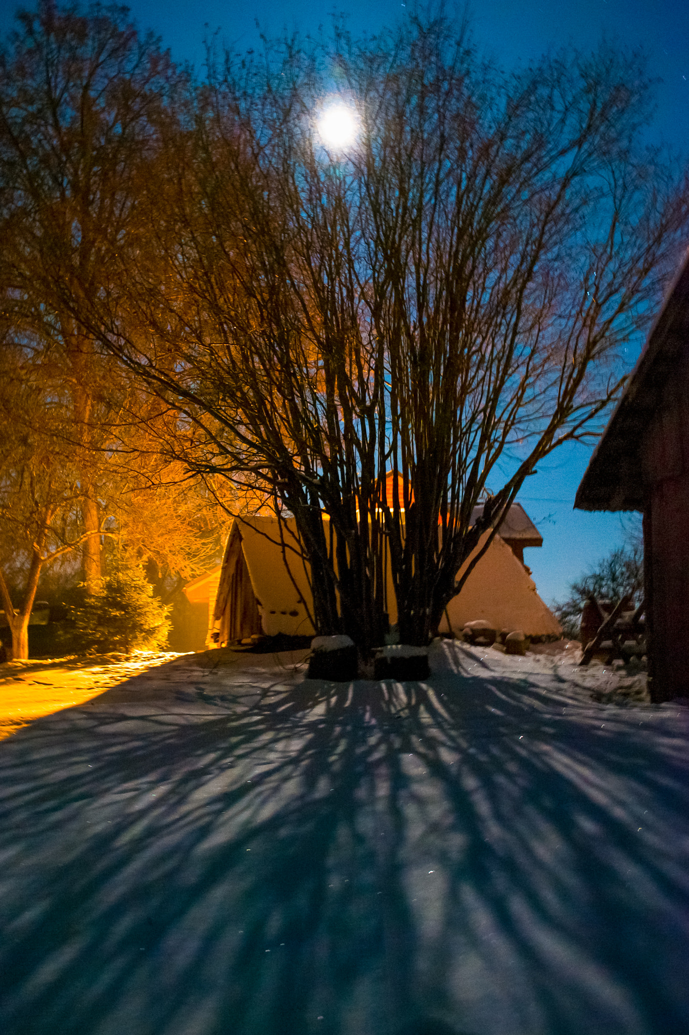 Nikon D3 sample photo. Winter in lithuania photography