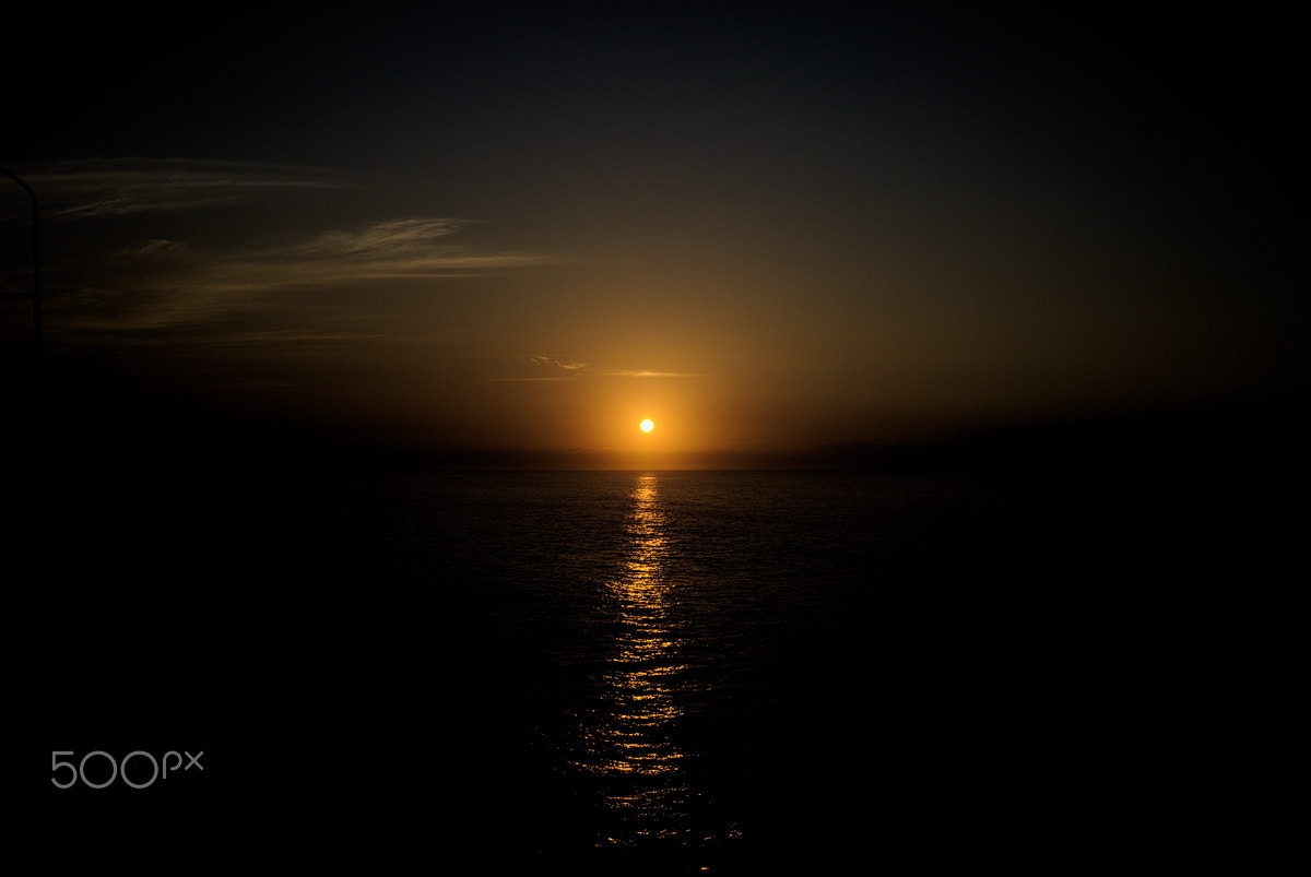 Nikon D40X sample photo. Morning #4 photography