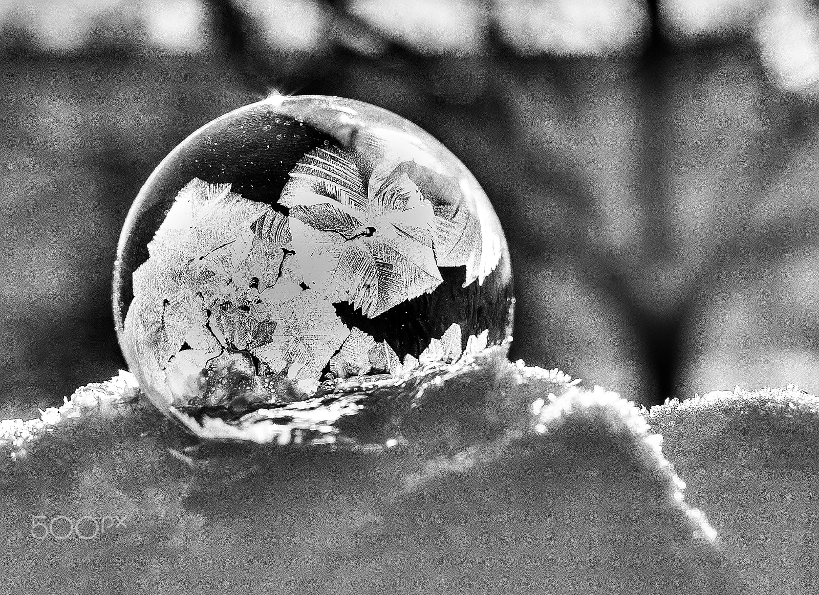 Pentax K-5 + Sigma 50mm F1.4 EX DG HSM sample photo. Black and white photography