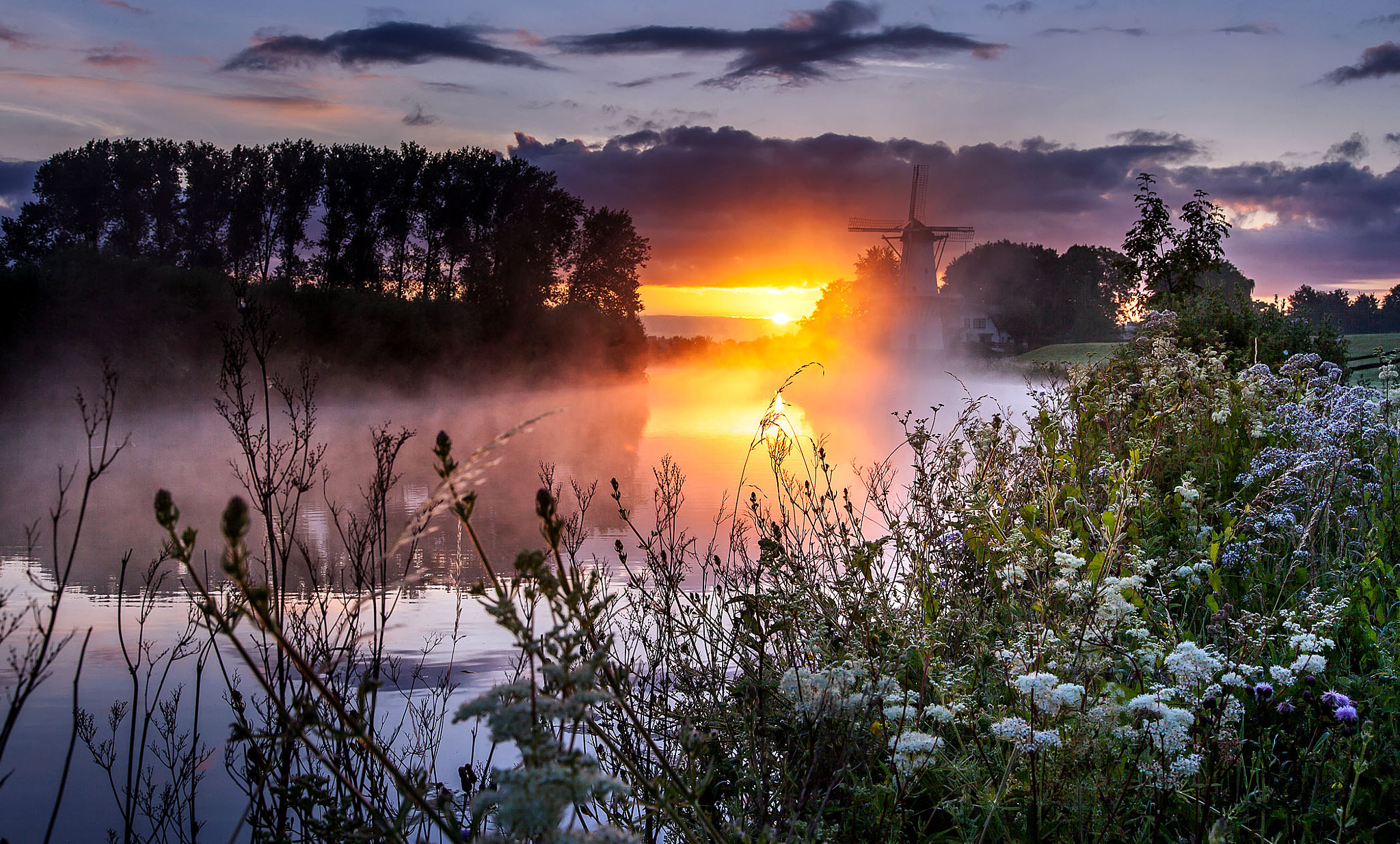 Sigma 24-105mm f/4 DG OS HSM | A sample photo. Foggy mill in holland photography