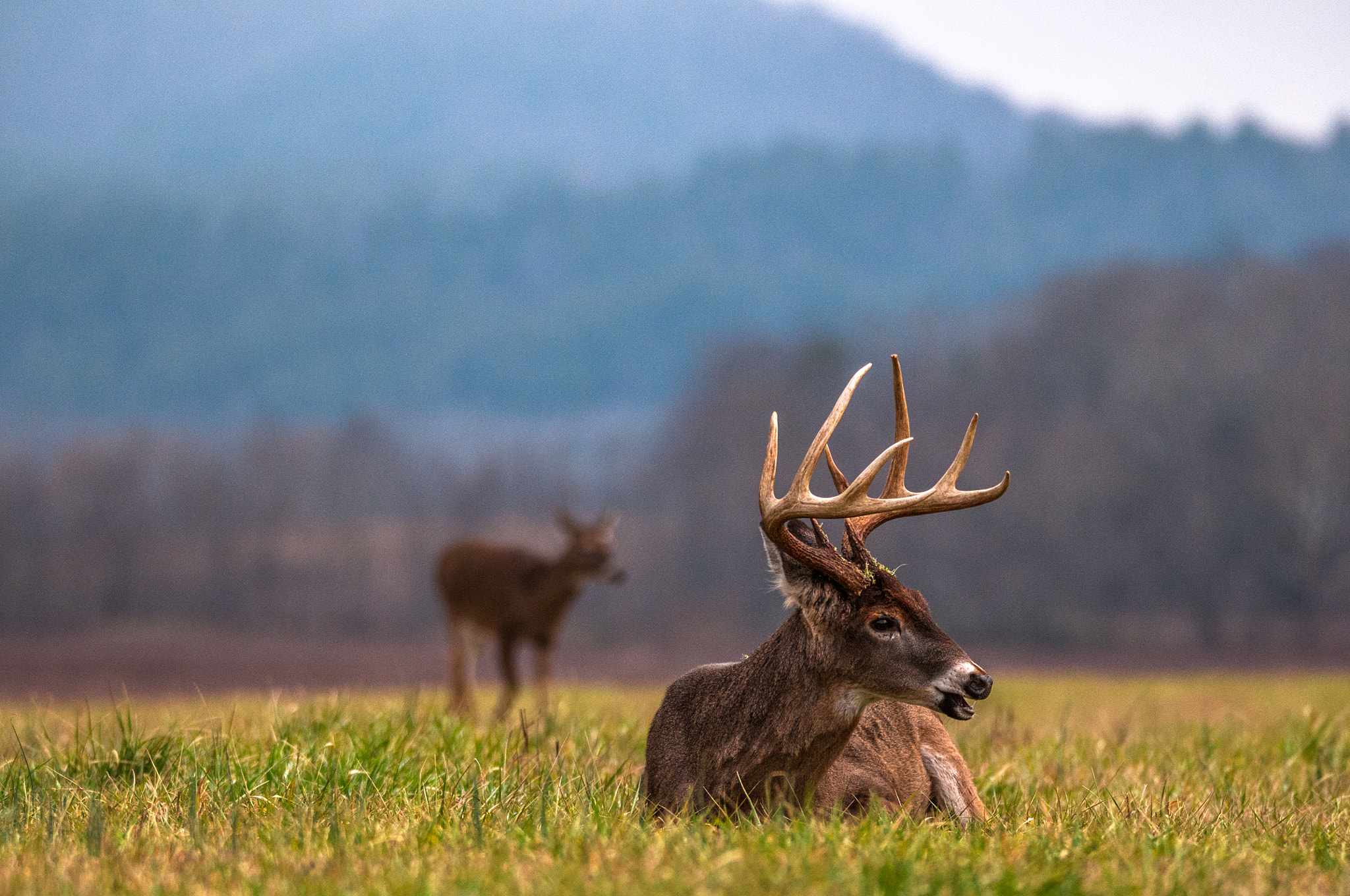 Sigma 150-600mm F5-6.3 DG OS HSM | S sample photo. Edit photography