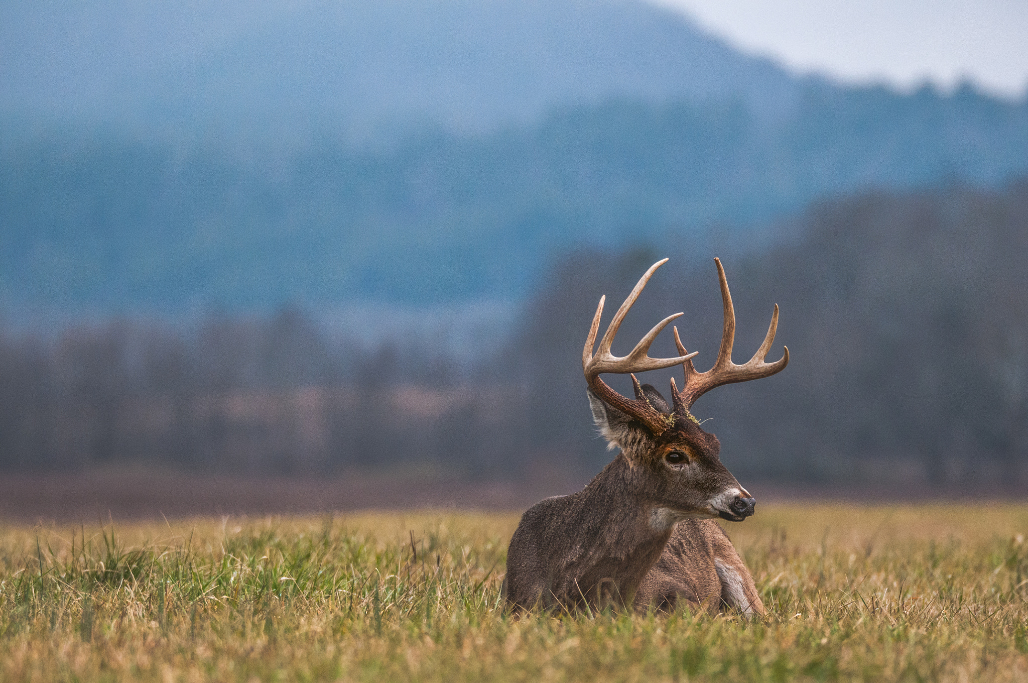 Sigma 150-600mm F5-6.3 DG OS HSM | S sample photo. Edit photography