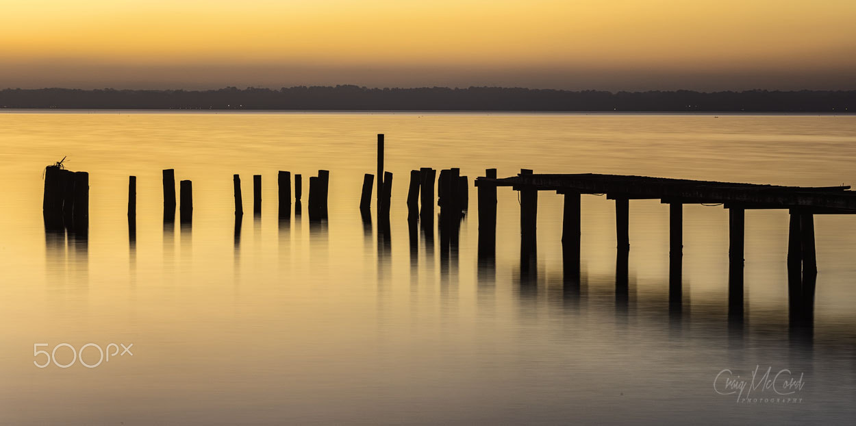 Canon EOS 5DS R + Sigma 24-105mm f/4 DG OS HSM | A sample photo. Dock pilings photography