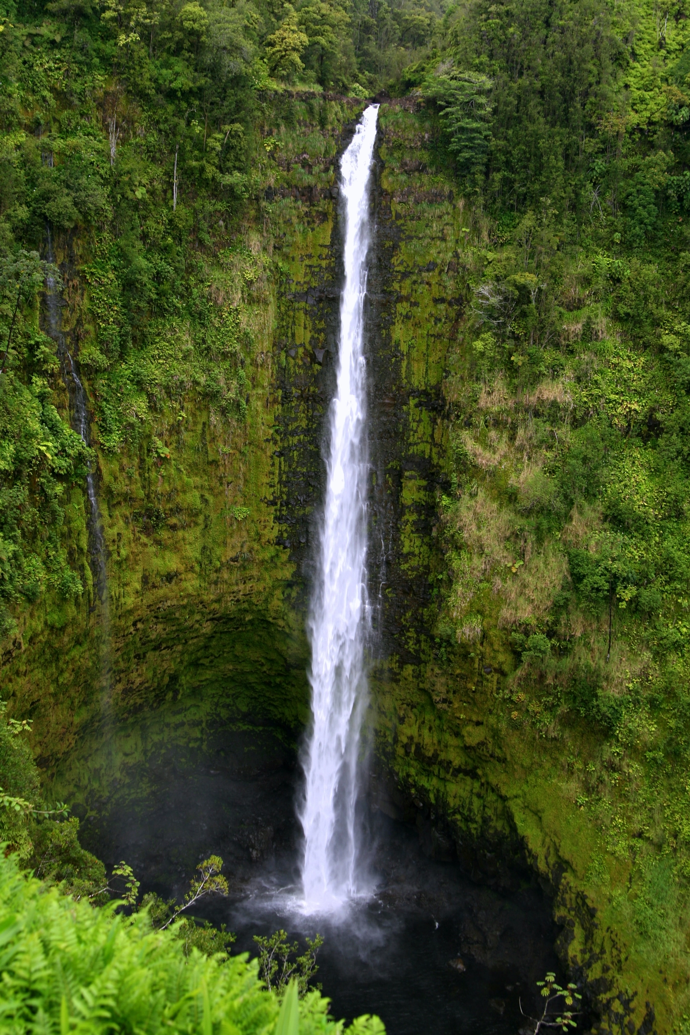 Canon EOS 400D (EOS Digital Rebel XTi / EOS Kiss Digital X) sample photo. Akaka falls photography