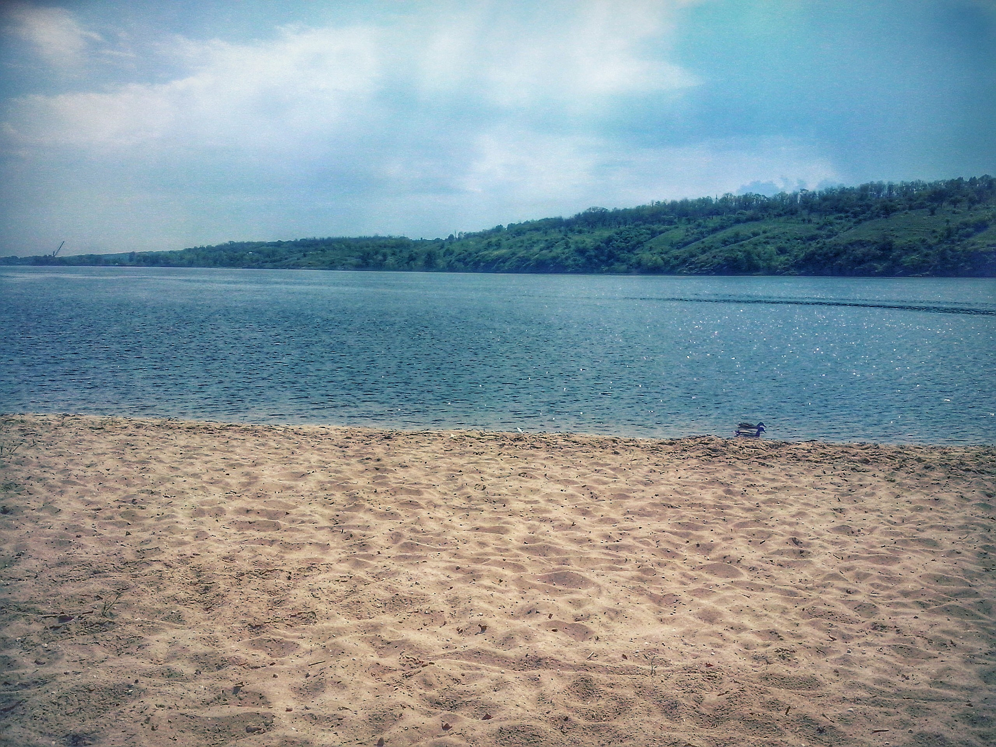 LG OPTIMUS L5 II sample photo. ~ photography