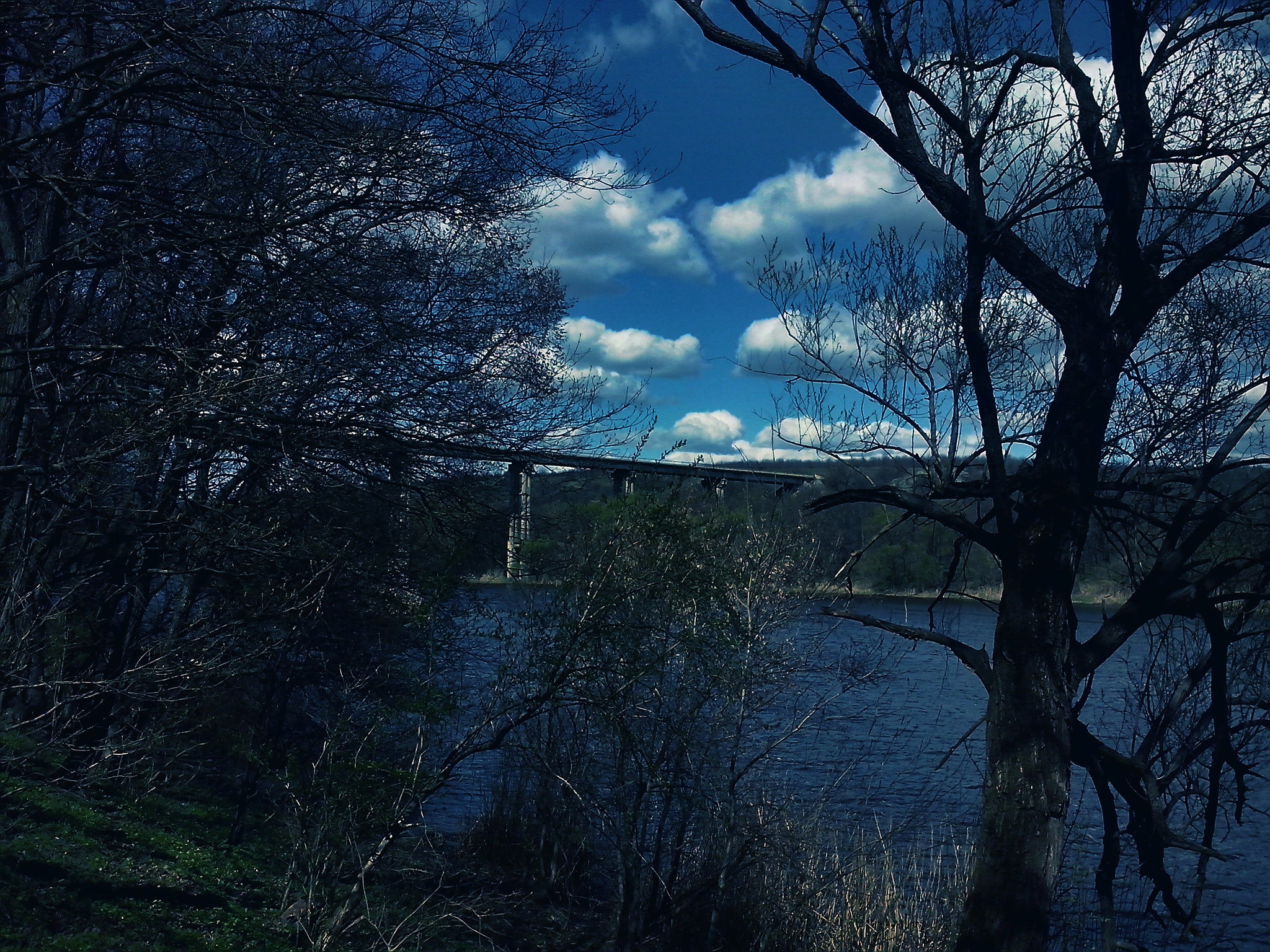 LG OPTIMUS L5 II sample photo. ~ photography