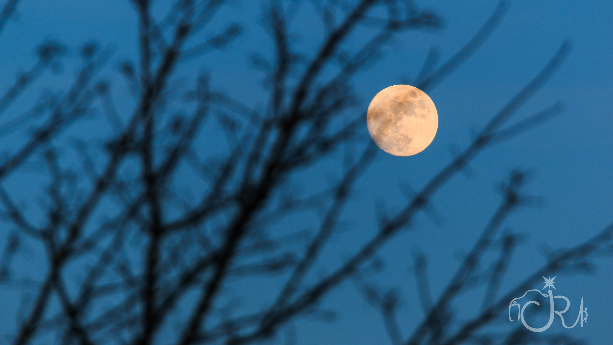 Canon EF 28-300mm F3.5-5.6L IS USM sample photo. Bokehmoon photography