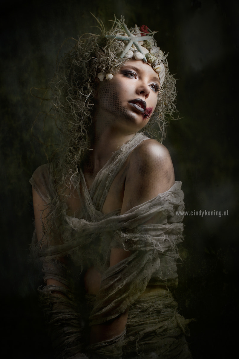 Canon EOS 7D + Sigma 50mm f/2.8 EX sample photo. Oceanfishlady @cindykoning/shadowdreamsphotography photography
