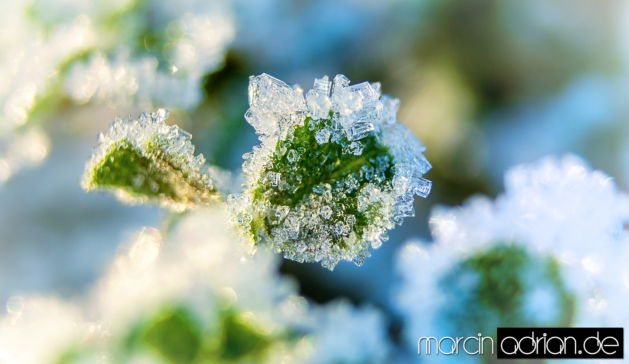 Canon EF-S 18-55mm F3.5-5.6 sample photo. Marcin adrian, www.marcinadrian.de, eiskristalle, ice crystals, wesseling photography