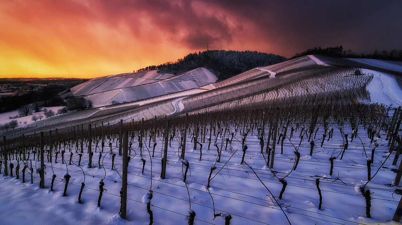 Sony SLT-A37 + 20mm F2.8 sample photo. What kind of winter photography