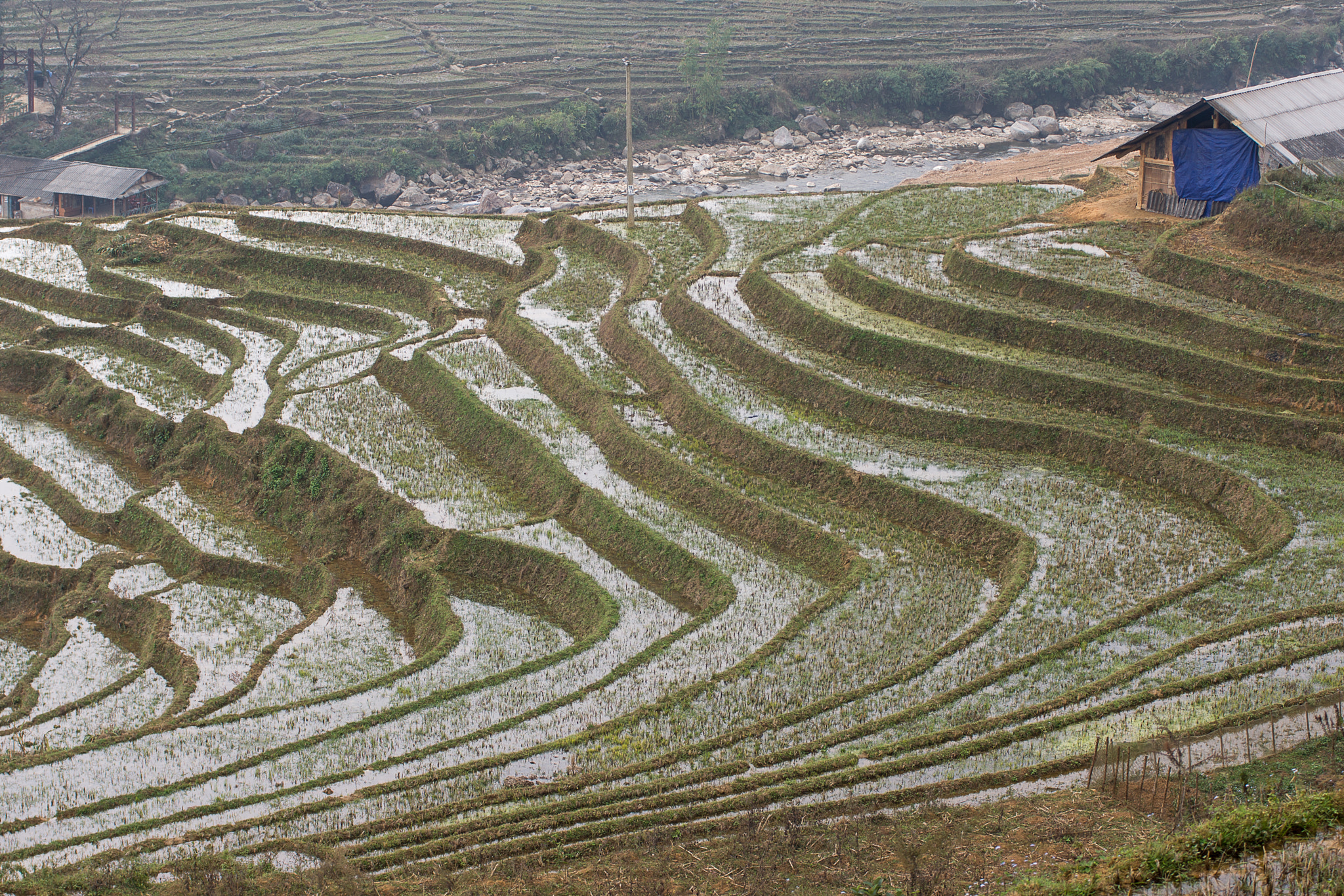Sony Alpha DSLR-A700 + Minolta AF 70-210mm F4 Macro sample photo. Vietnamese farm photography