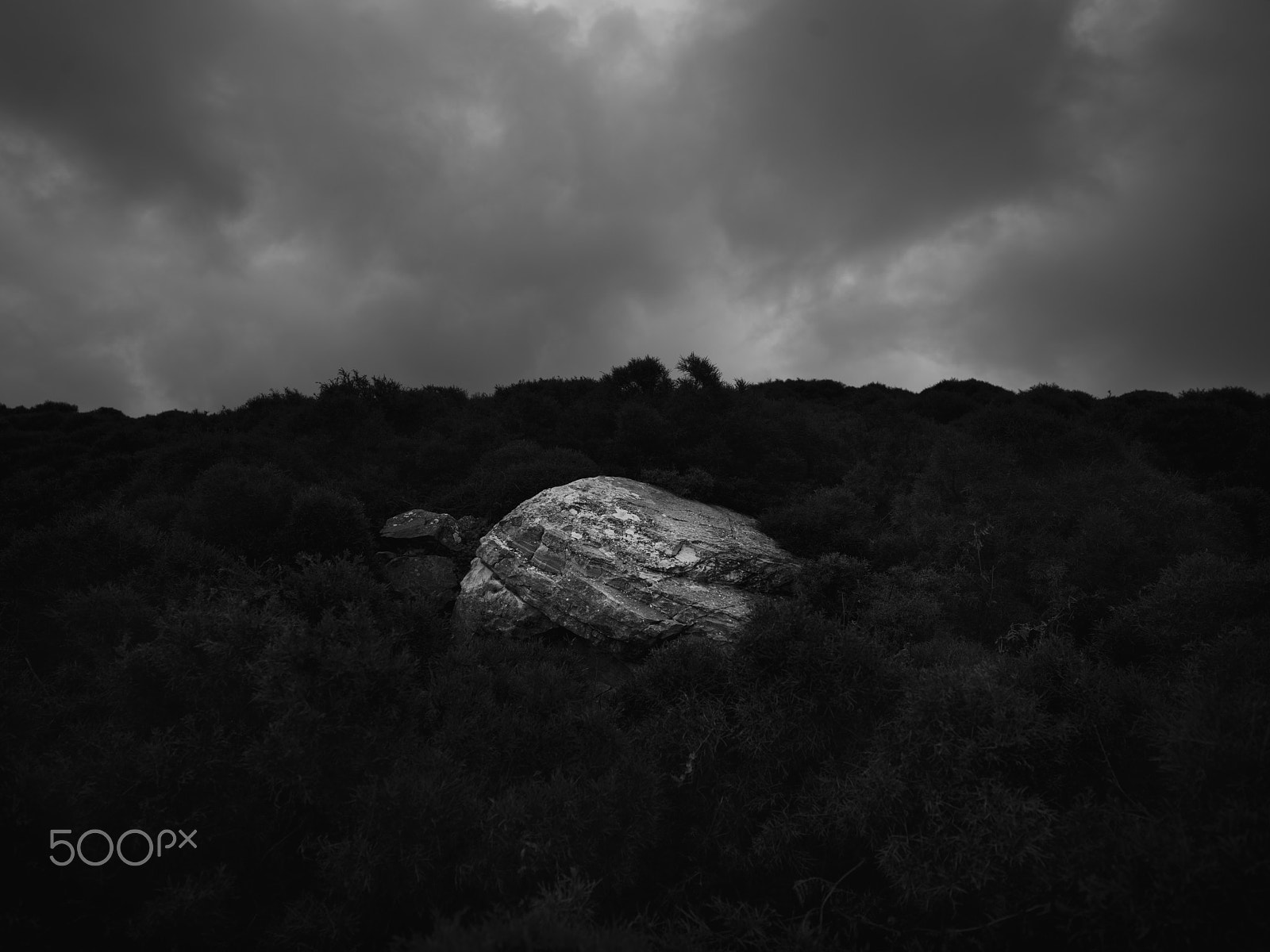 Hasselblad H3D + HCD 28 sample photo. Stand alone photography