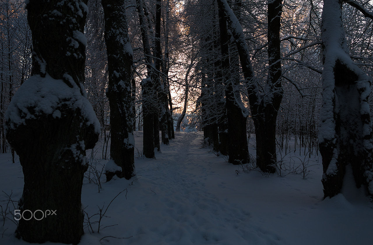 Sigma 28mm f/1.8 DG Macro EX sample photo. Lonely winter alley photography