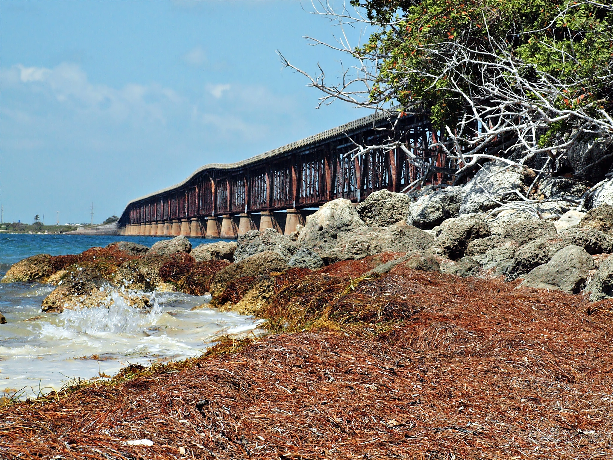 Olympus E-600 (EVOLT E-600) sample photo. Down low on the bahia honda channel photography