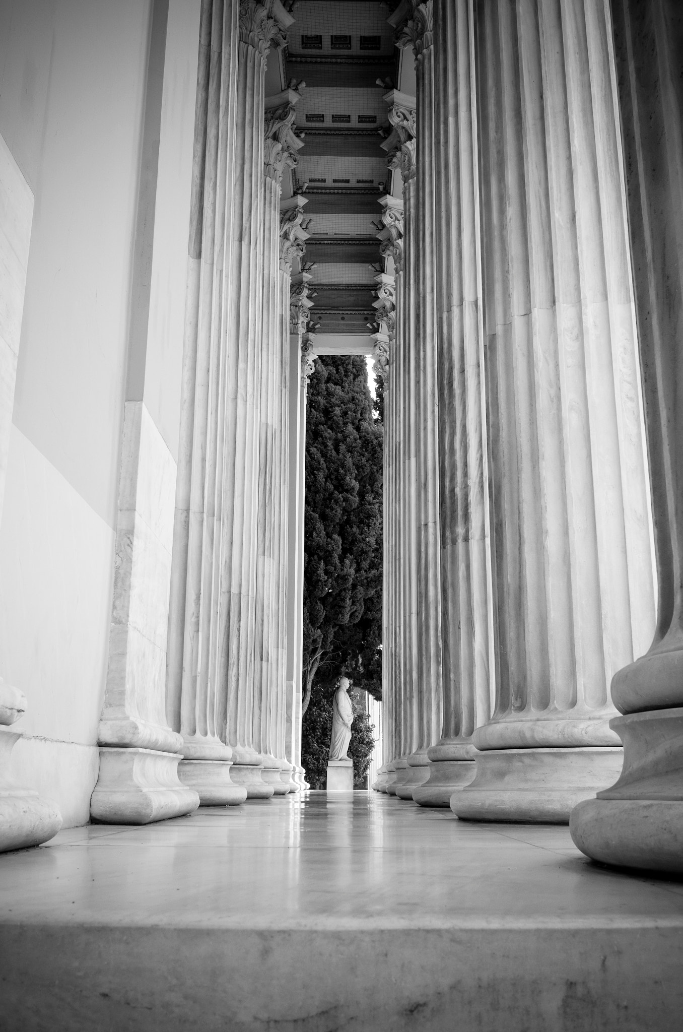 Summicron T 1:2 23 ASPH. sample photo. Columns photography