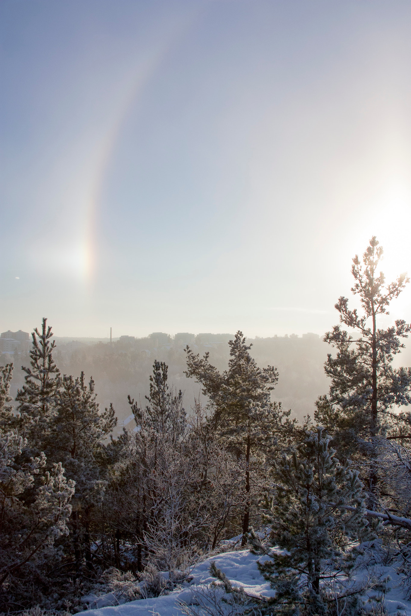 Canon EF 28-135mm F3.5-5.6 IS USM sample photo. Halo #2 photography