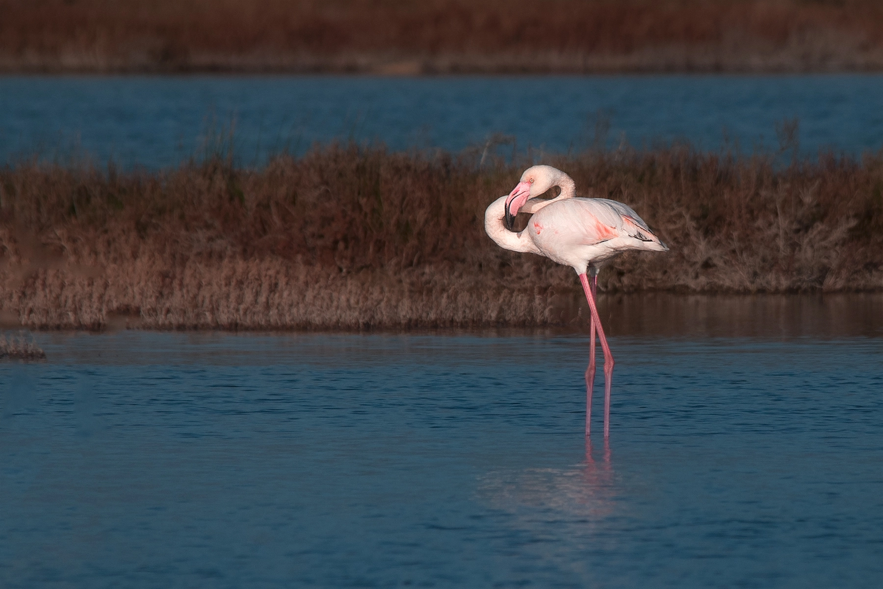 Sigma 150-500mm F5-6.3 DG OS HSM sample photo. Gtf_5251.jpg photography