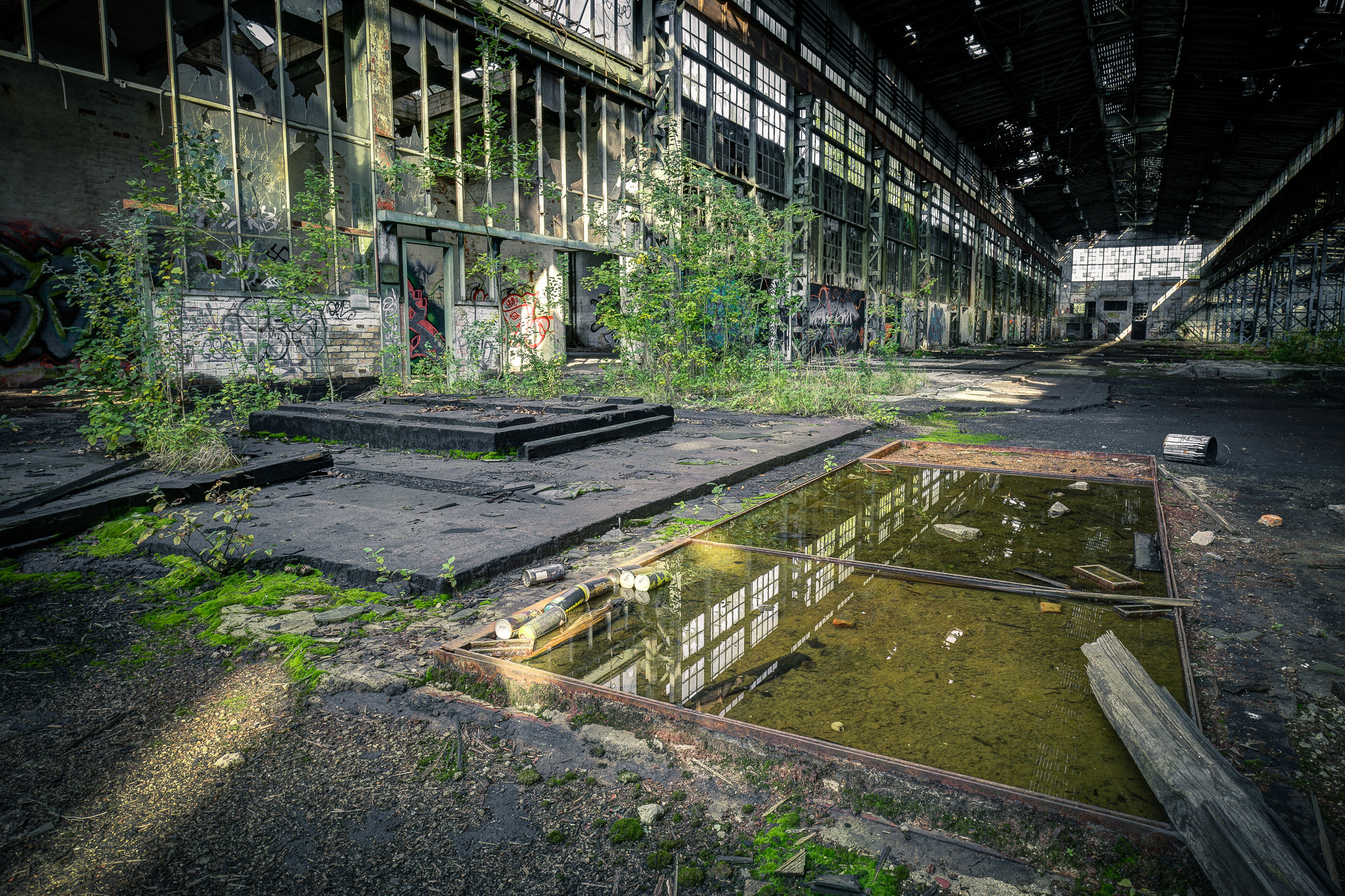 Sony a7 II + Canon EF 16-35mm F4L IS USM sample photo. Conquering green... photography