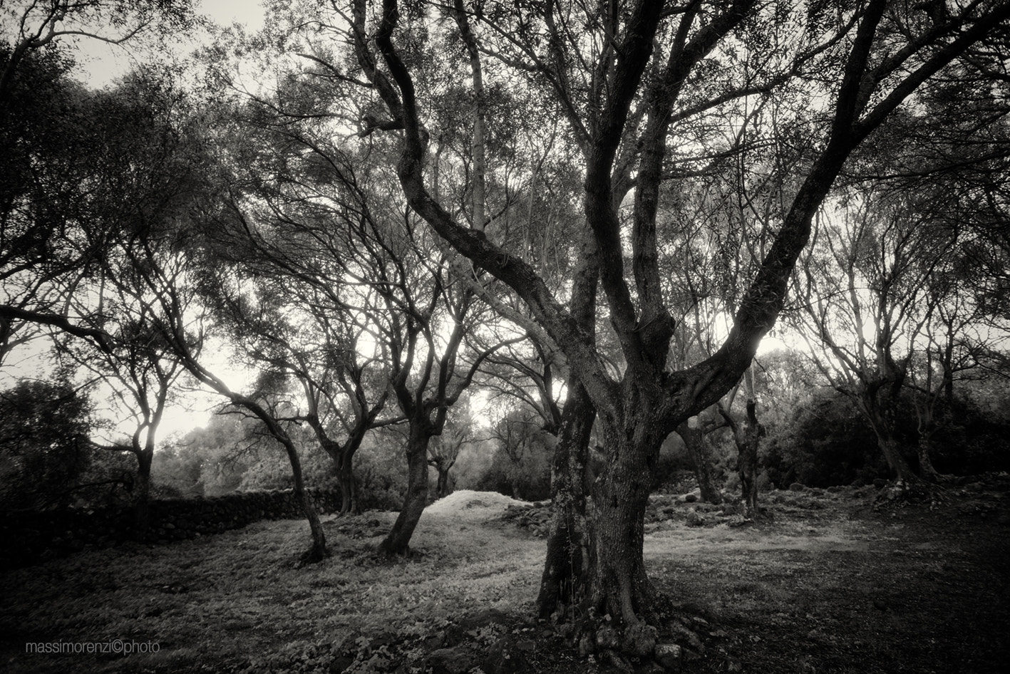 Nikon D800 + AF Nikkor 20mm f/2.8 sample photo. Sardegna - italy photography