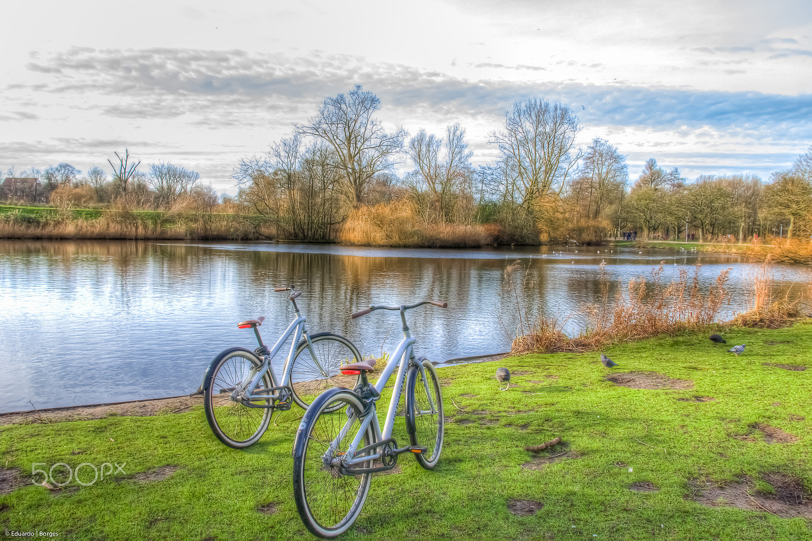 Canon EOS 60D + Canon EF 500mm F4L IS USM sample photo. Hdr amsterdam voledampark photography