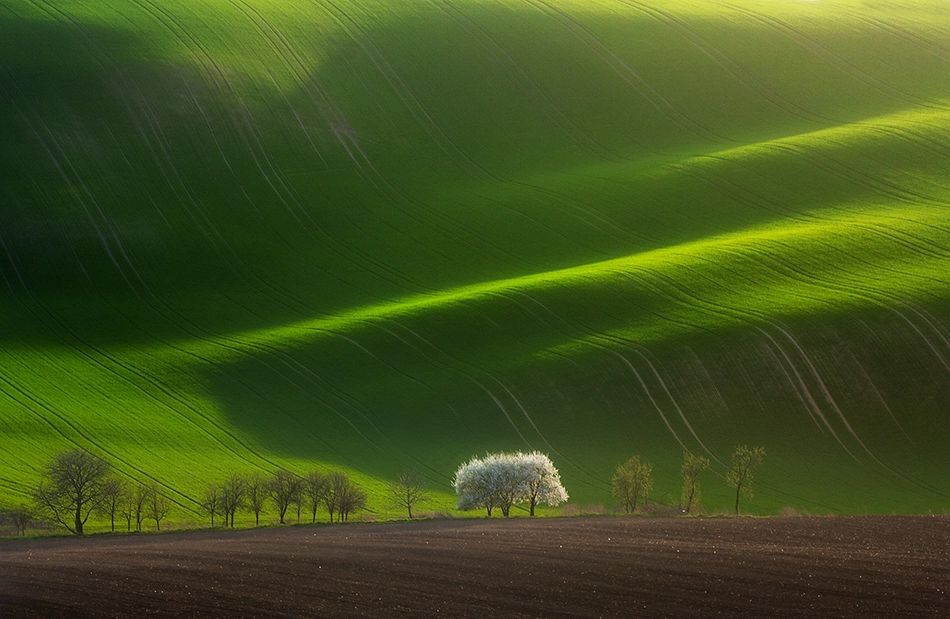 Trees and waves by Marcin Sobas on 500px.com