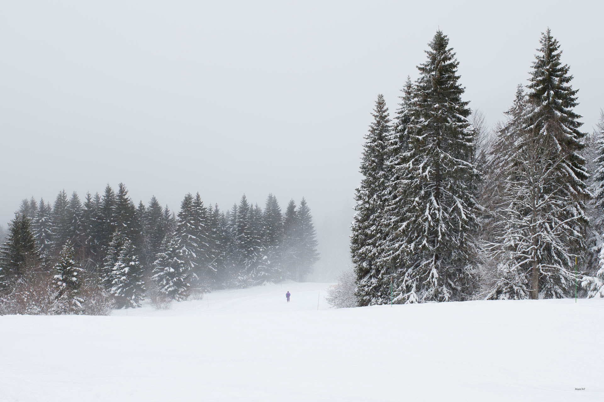 Canon EF 35mm F2 IS USM sample photo. The skier photography