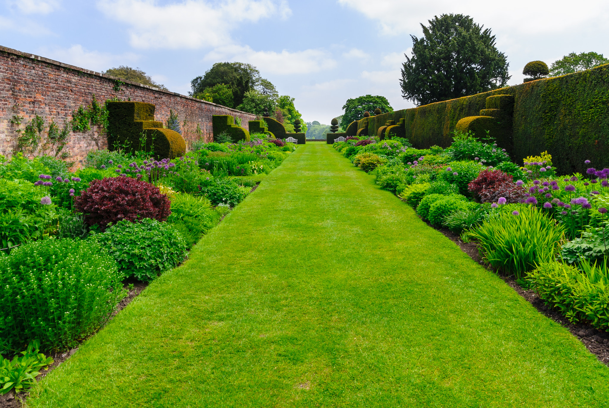 Sony Alpha DSLR-A300 sample photo. Arley herb garden photography