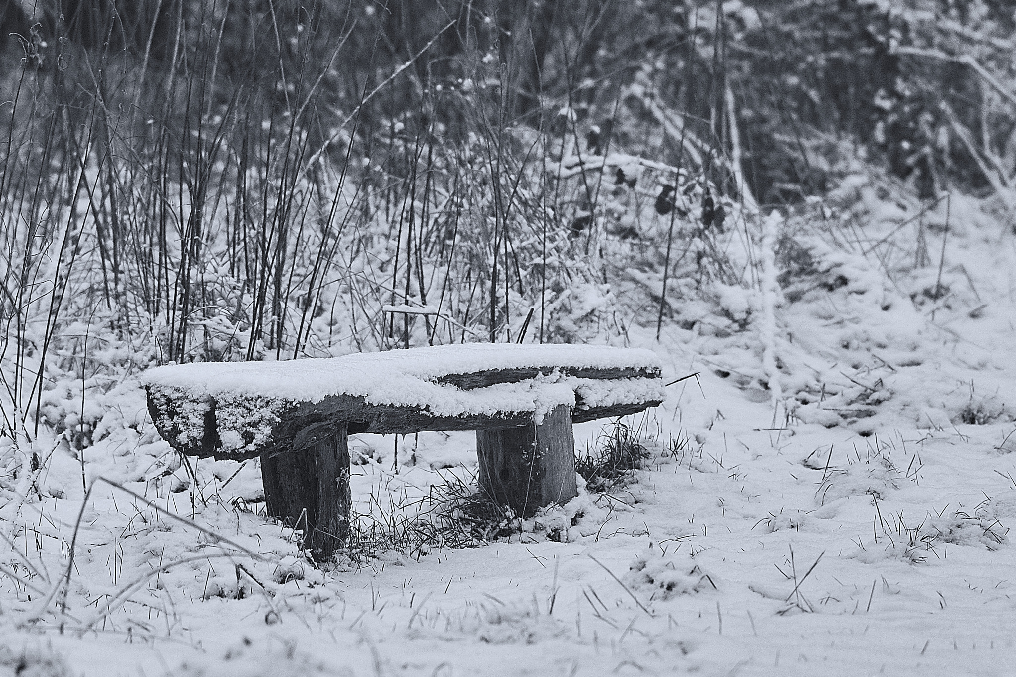 Sony Sonnar T* 135mm F1.8 ZA sample photo. Winter landscape photography