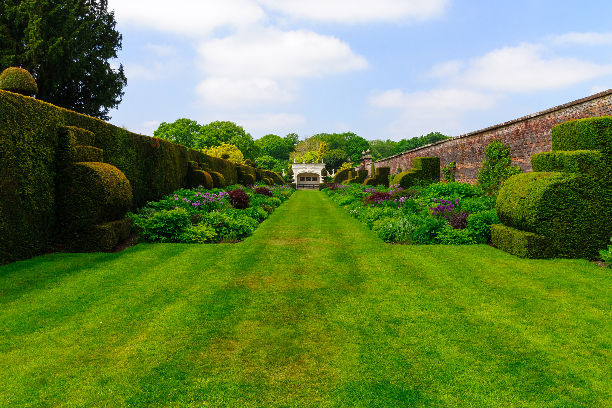 Sony Alpha DSLR-A300 sample photo. Arley lawn photography