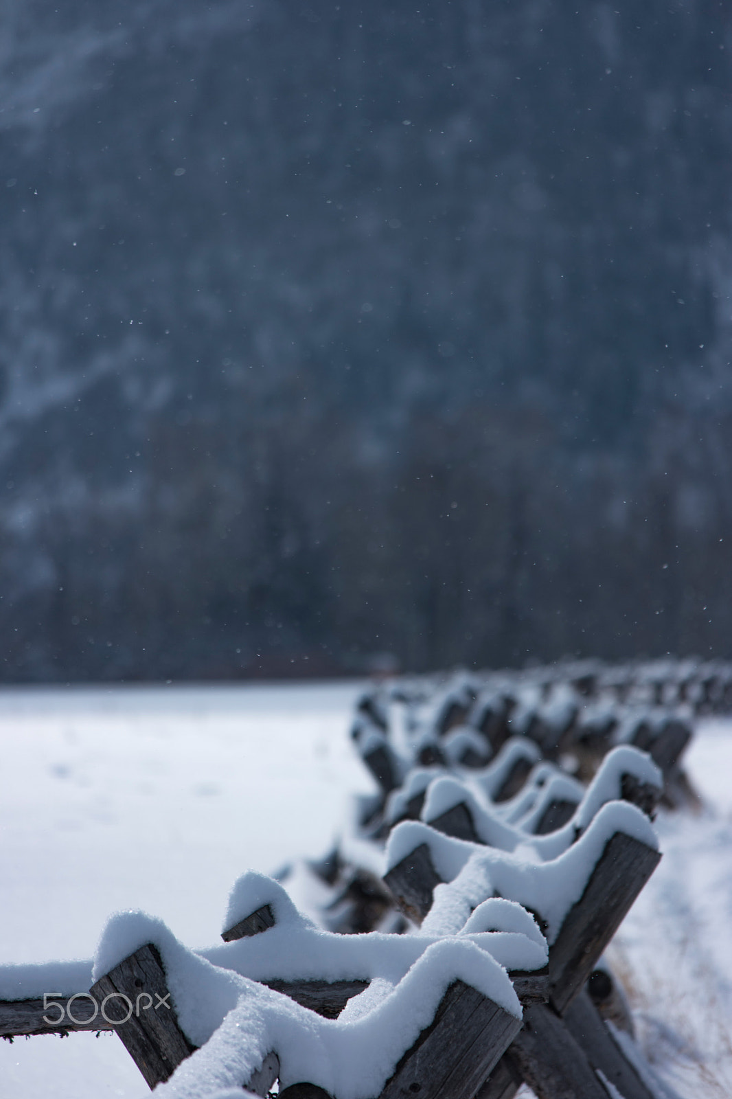 Samsung NX1 + Samsung NX 50-200mm F4-5.6 ED OIS sample photo. Light snow photography