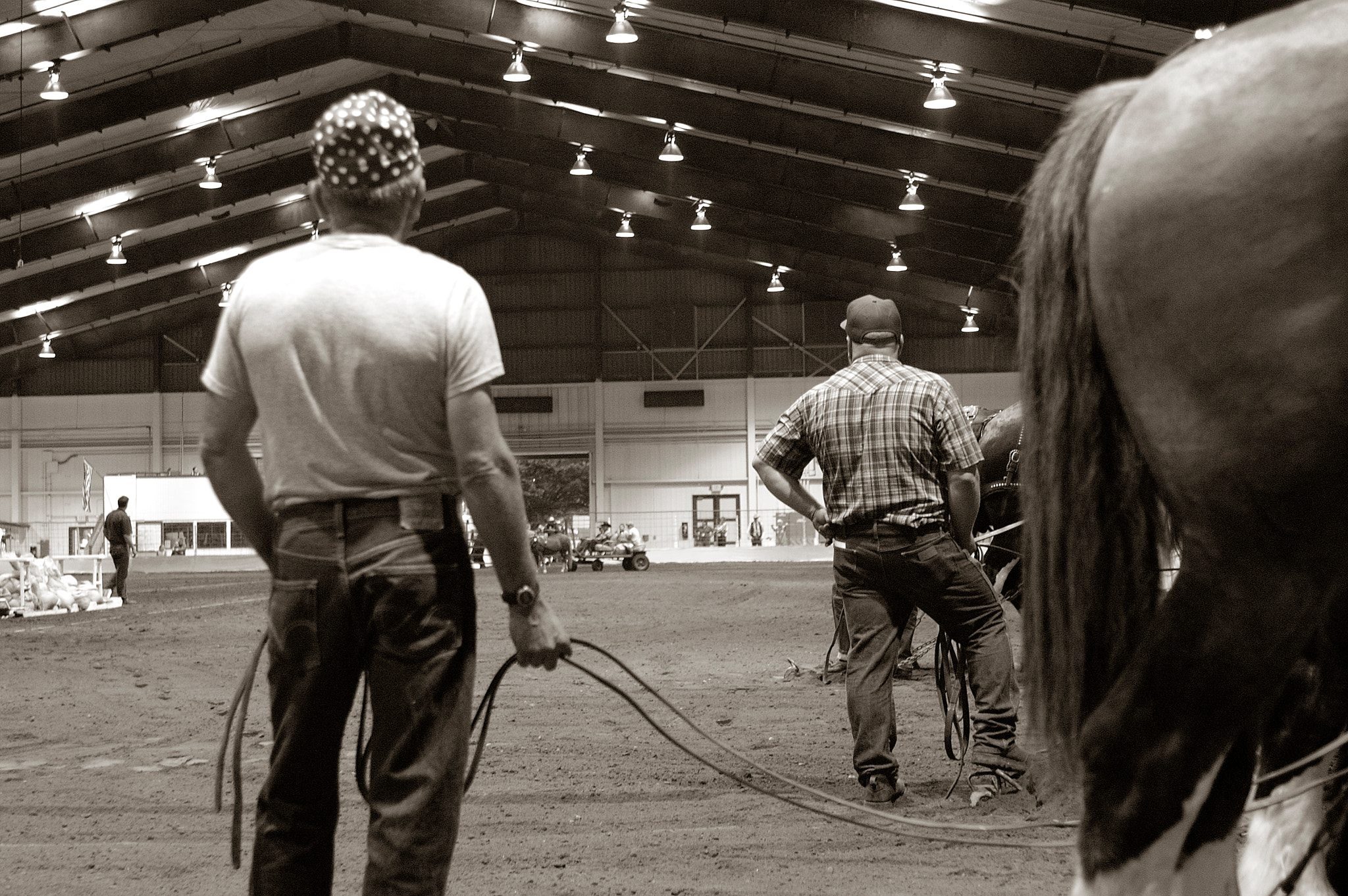 Nikon D100 sample photo. Draft hose show photography