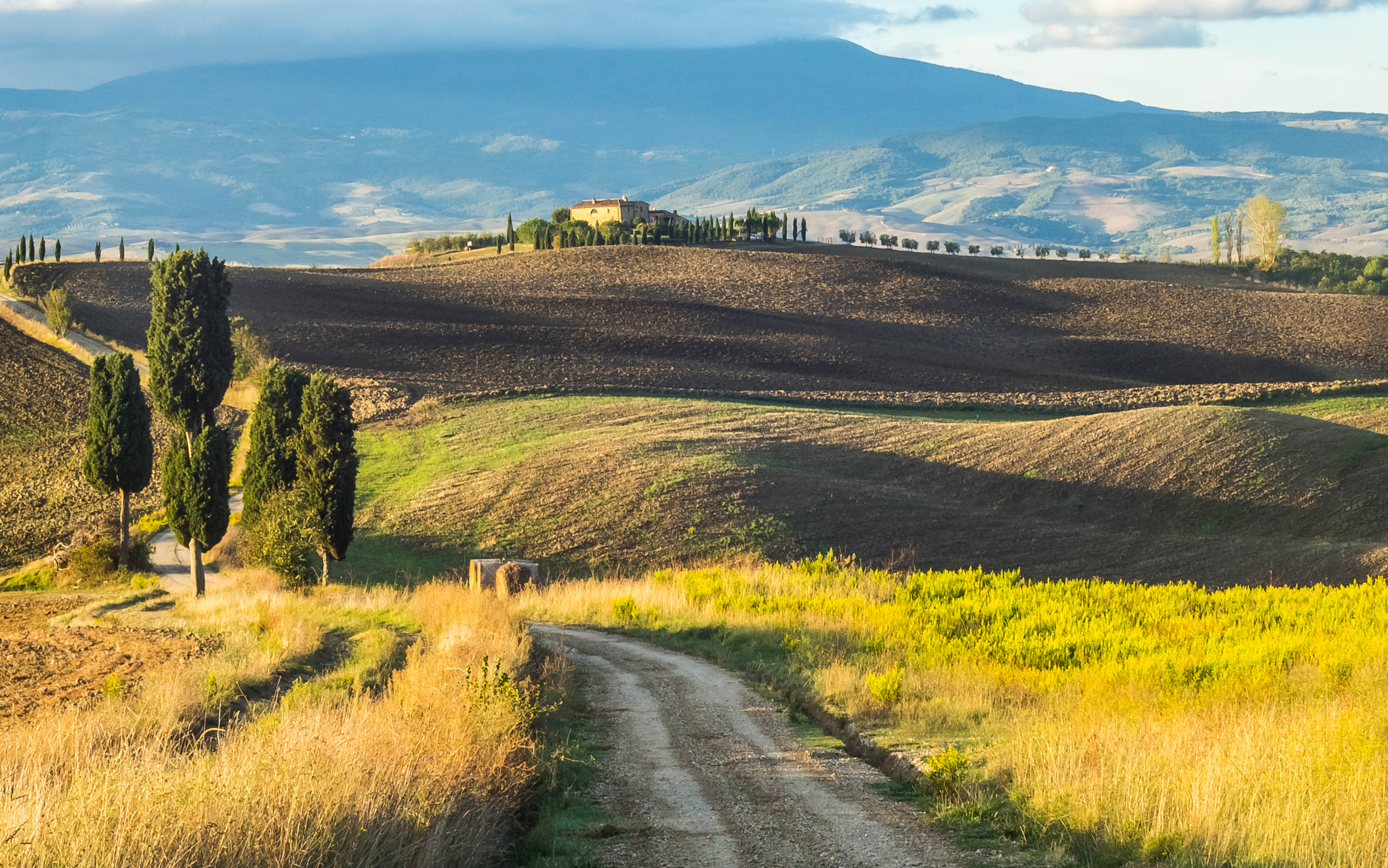 Sigma 50mm F1.4 DG HSM Art sample photo. Toscana1 photography