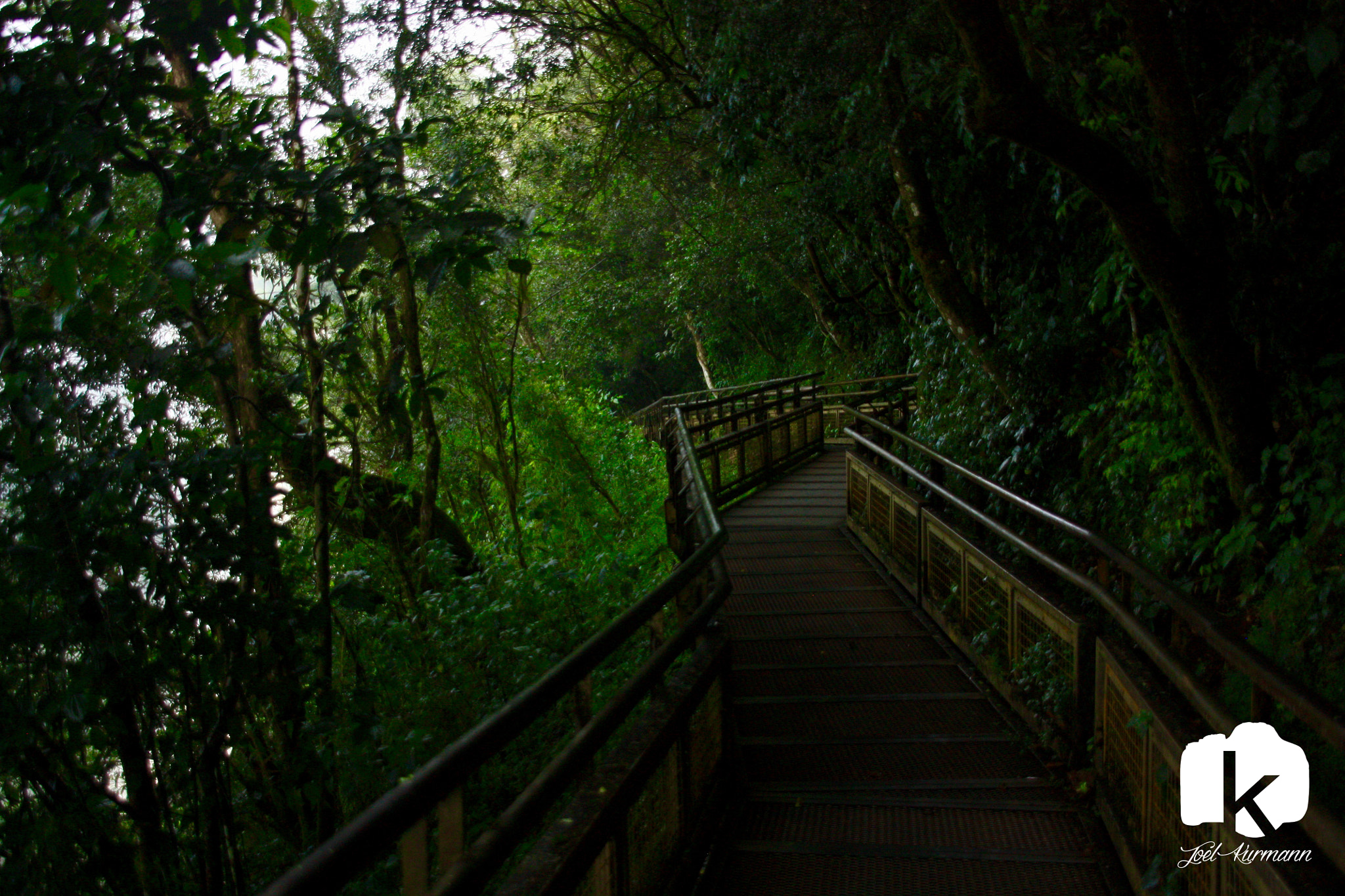 Canon EOS 450D (EOS Rebel XSi / EOS Kiss X2) + Sigma 15-30mm f/3.5-4.5 EX DG Aspherical sample photo. Road into the forest photography