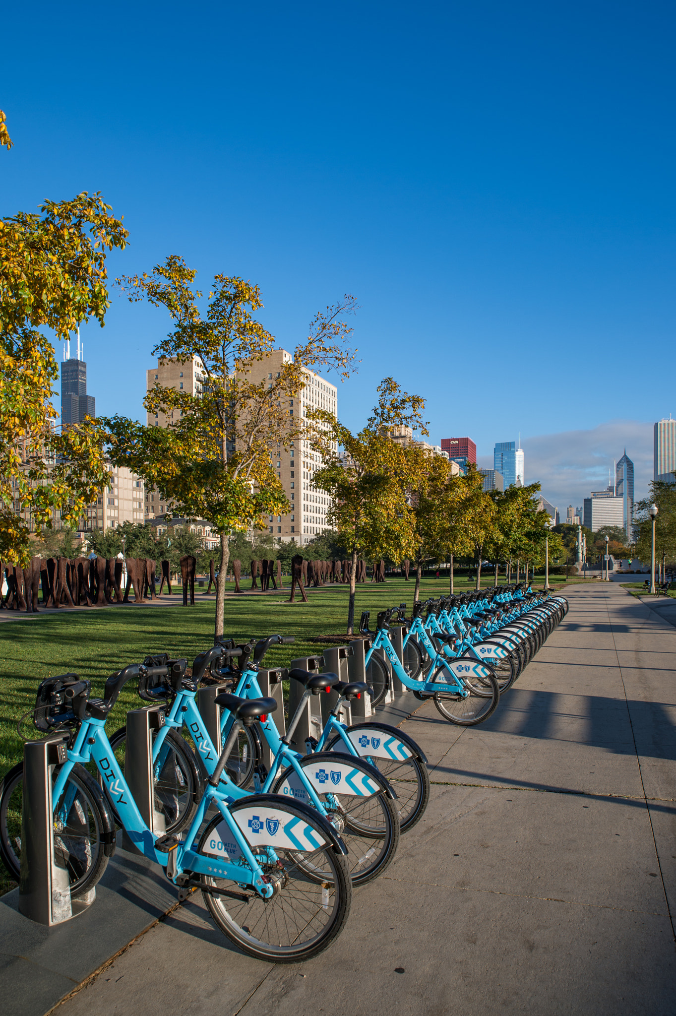 Nikon Df sample photo. Chicago photography
