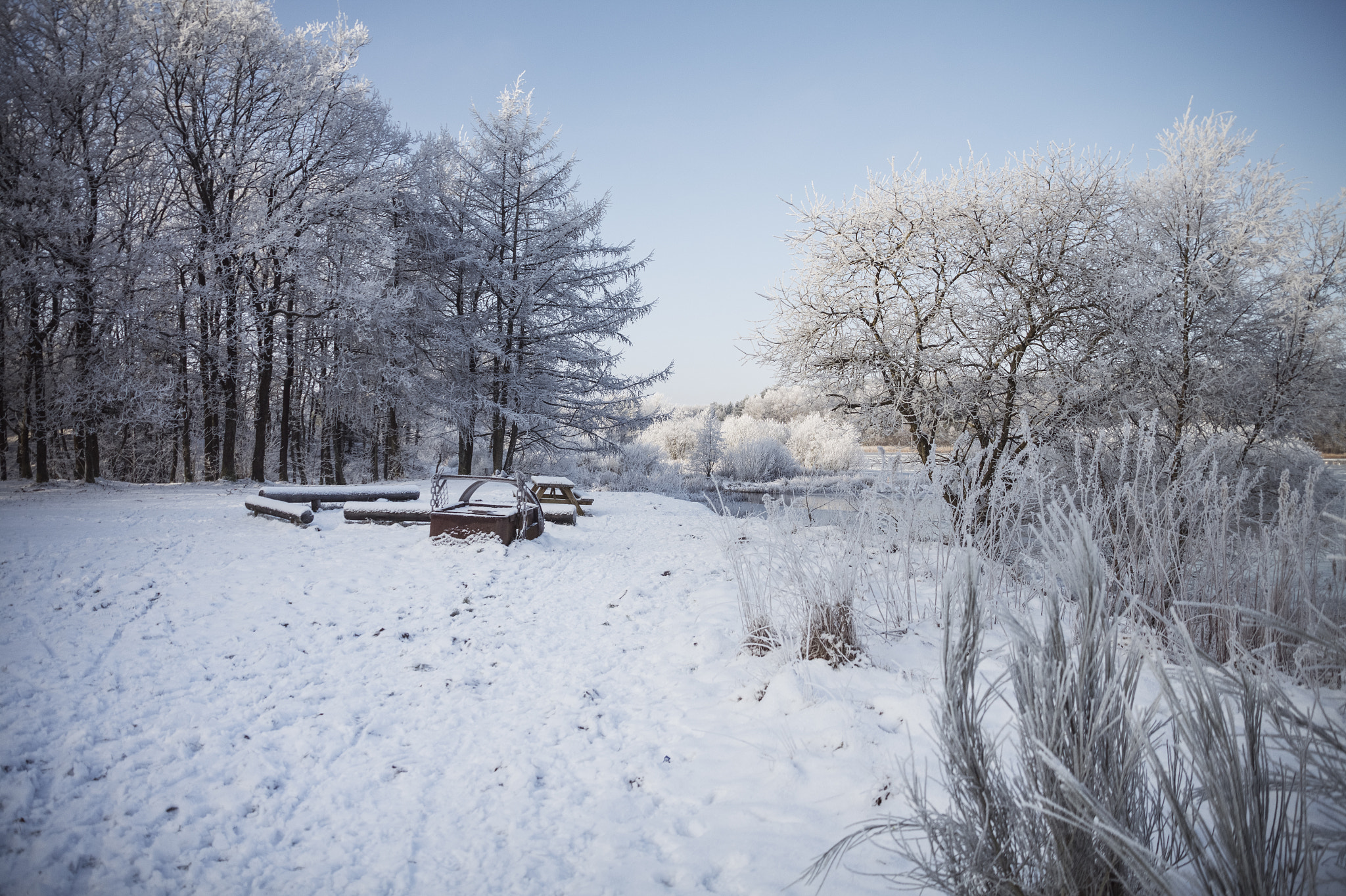 Sigma 18-200mm f/3.5-6.3 DC OS sample photo. Winter photography