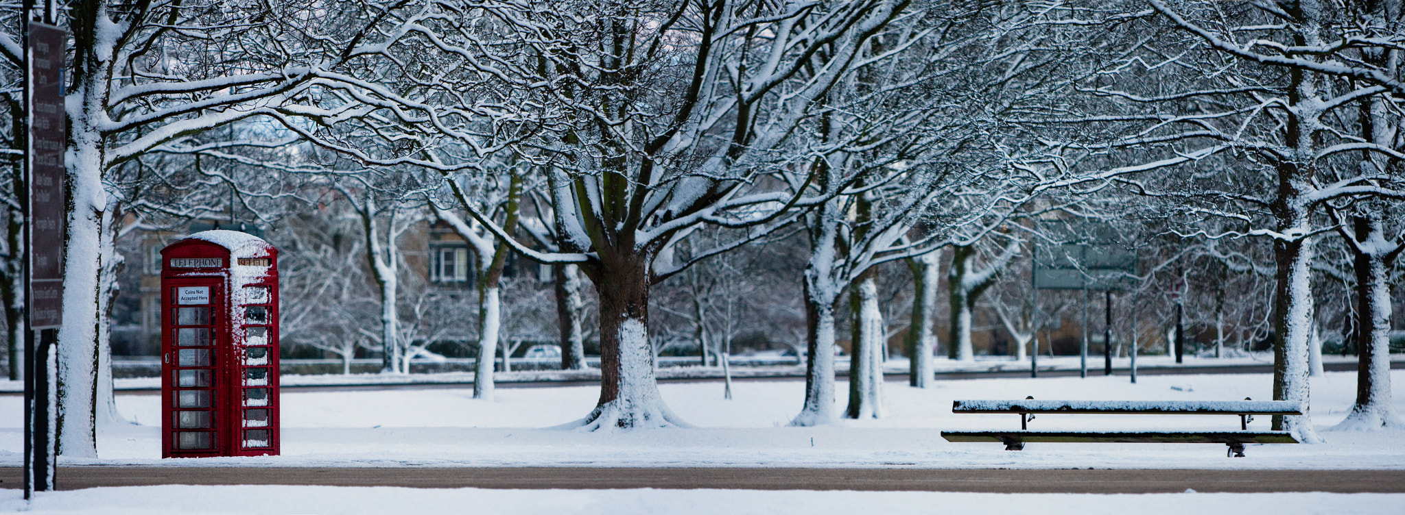 Canon EF 70-200mm F2.8L IS USM sample photo. Snow calling photography