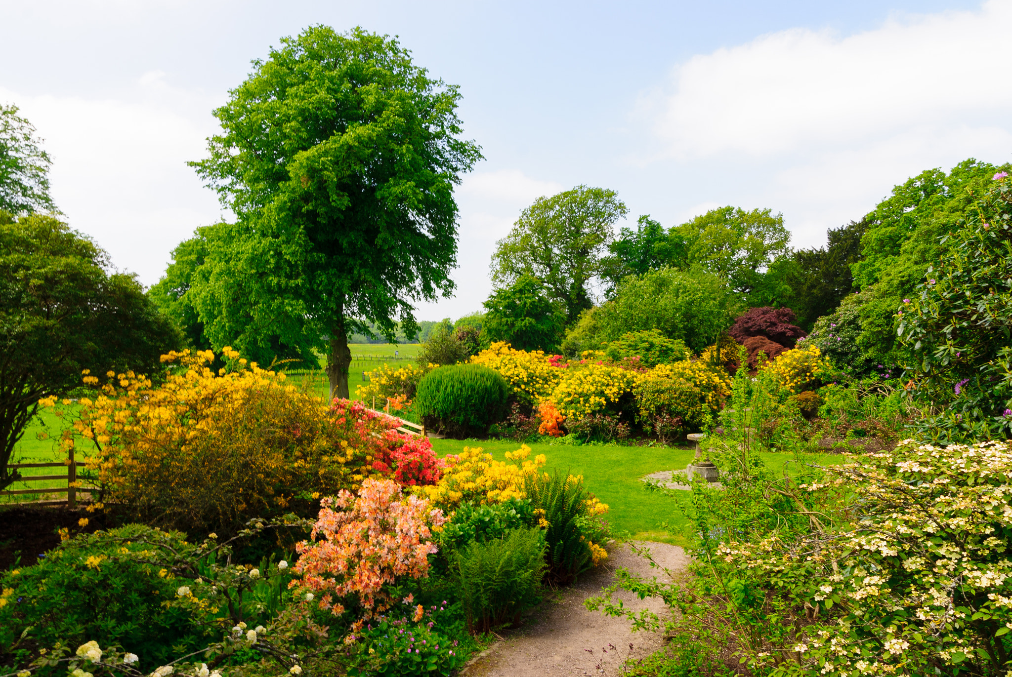 Sony Alpha DSLR-A300 sample photo. Summer at arley photography