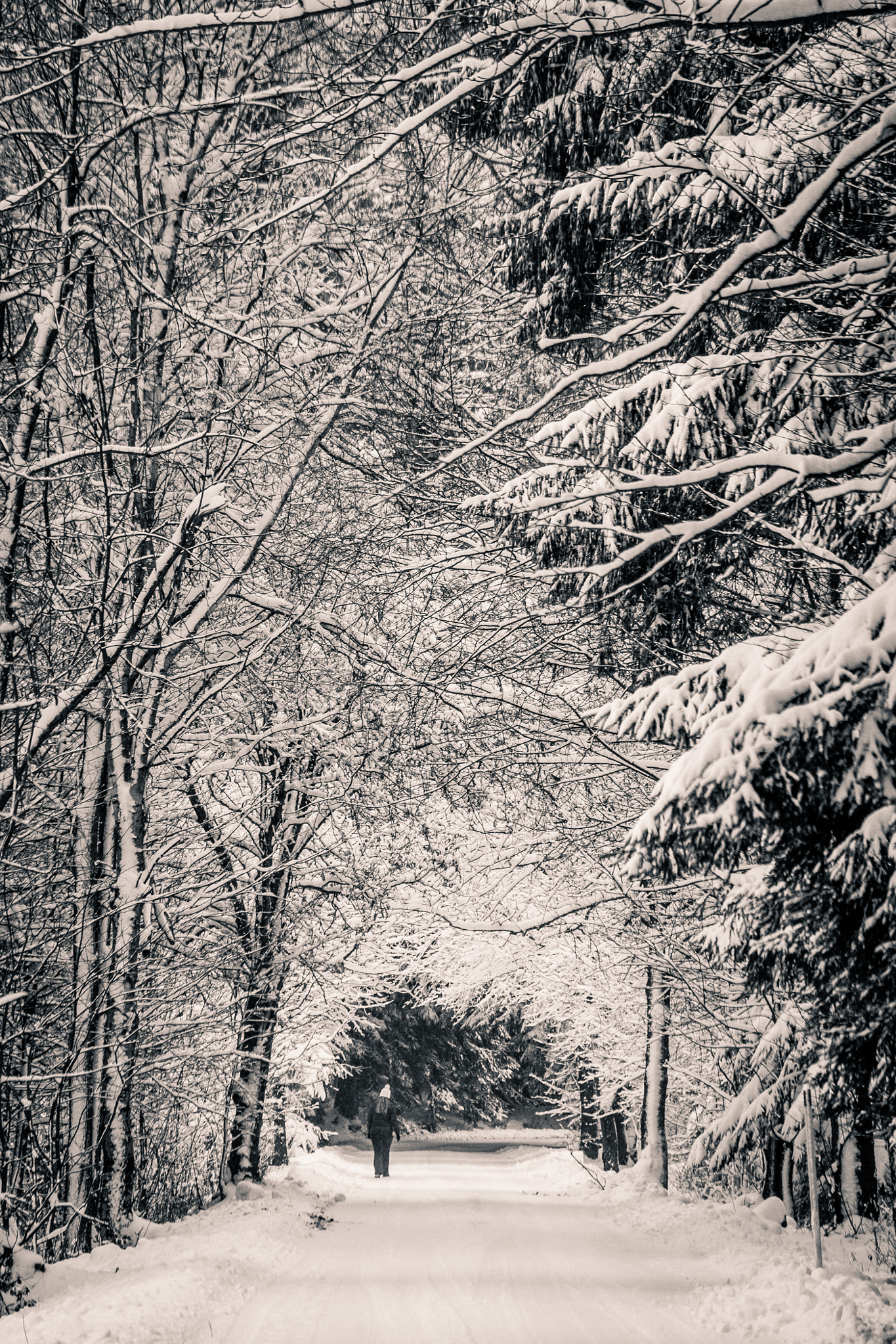 Samsung NX30 + Samsung NX 50-200mm F4-5.6 ED OIS sample photo. Winter landscape photography