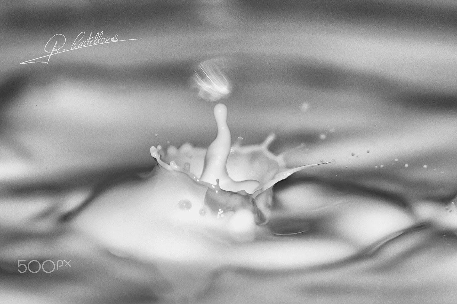 Sigma AF 105mm F2.8 EX [DG] Macro sample photo. Leche, milk photography