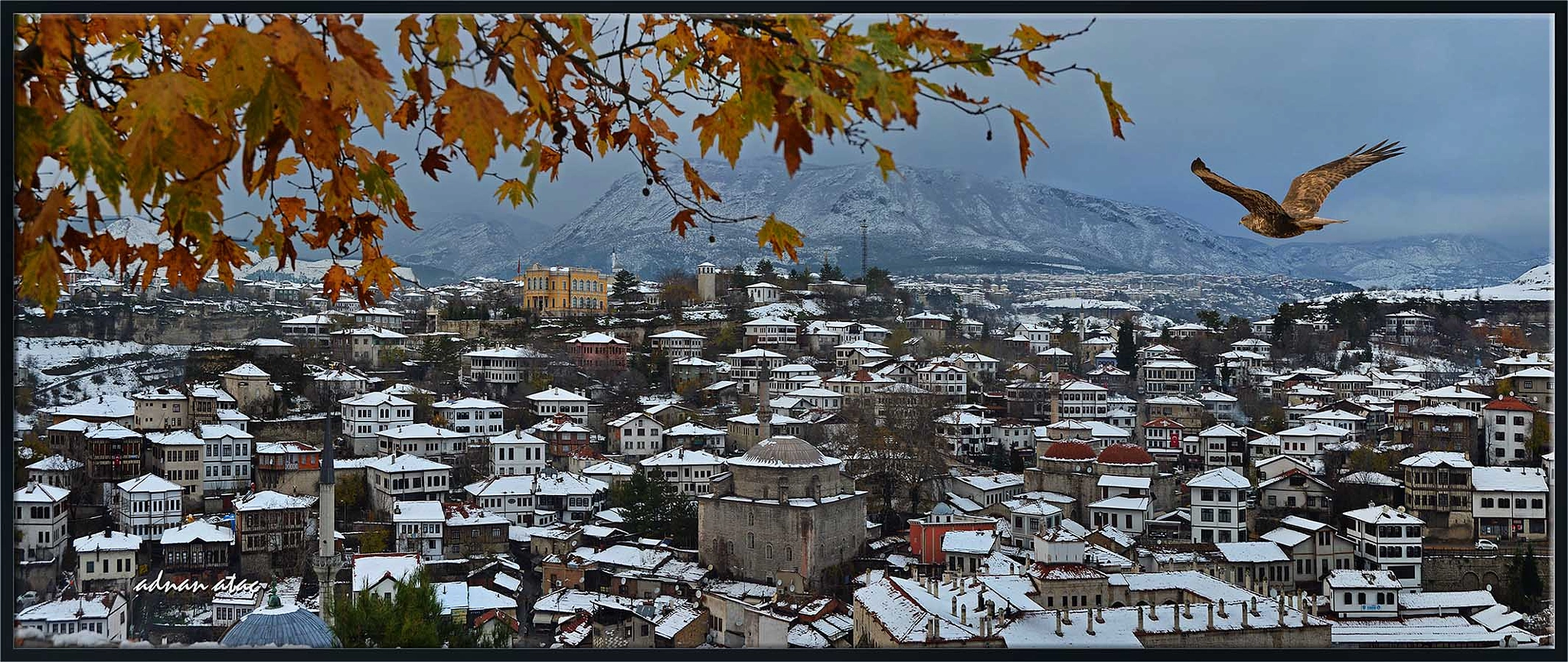Nikon D4 sample photo. Safranbolu'da kış ve bir Şahin photography