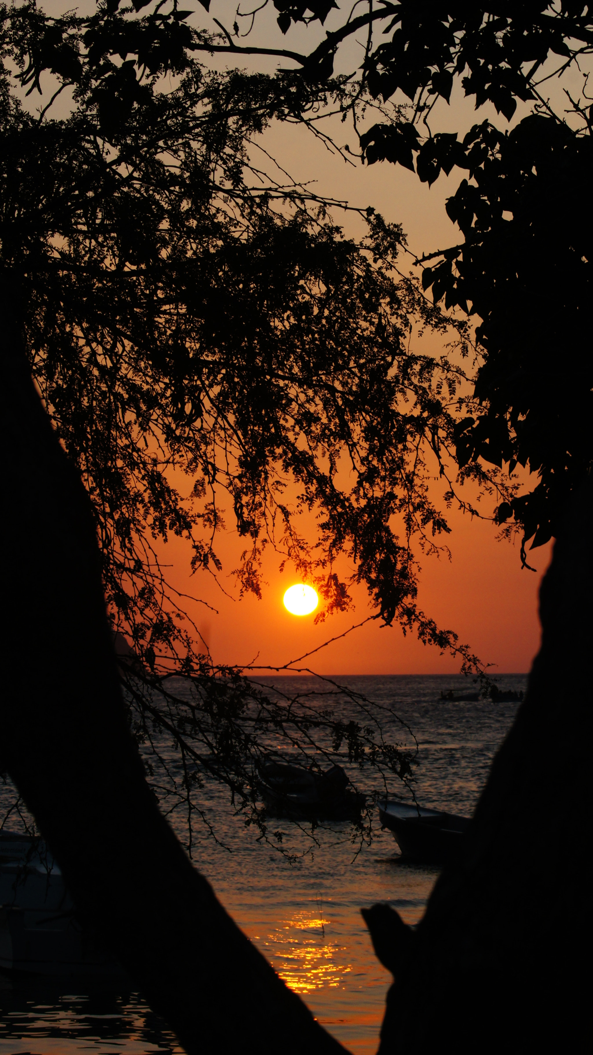 Sony 75-300mm F4.5-5.6 sample photo. Tranquilidad photography