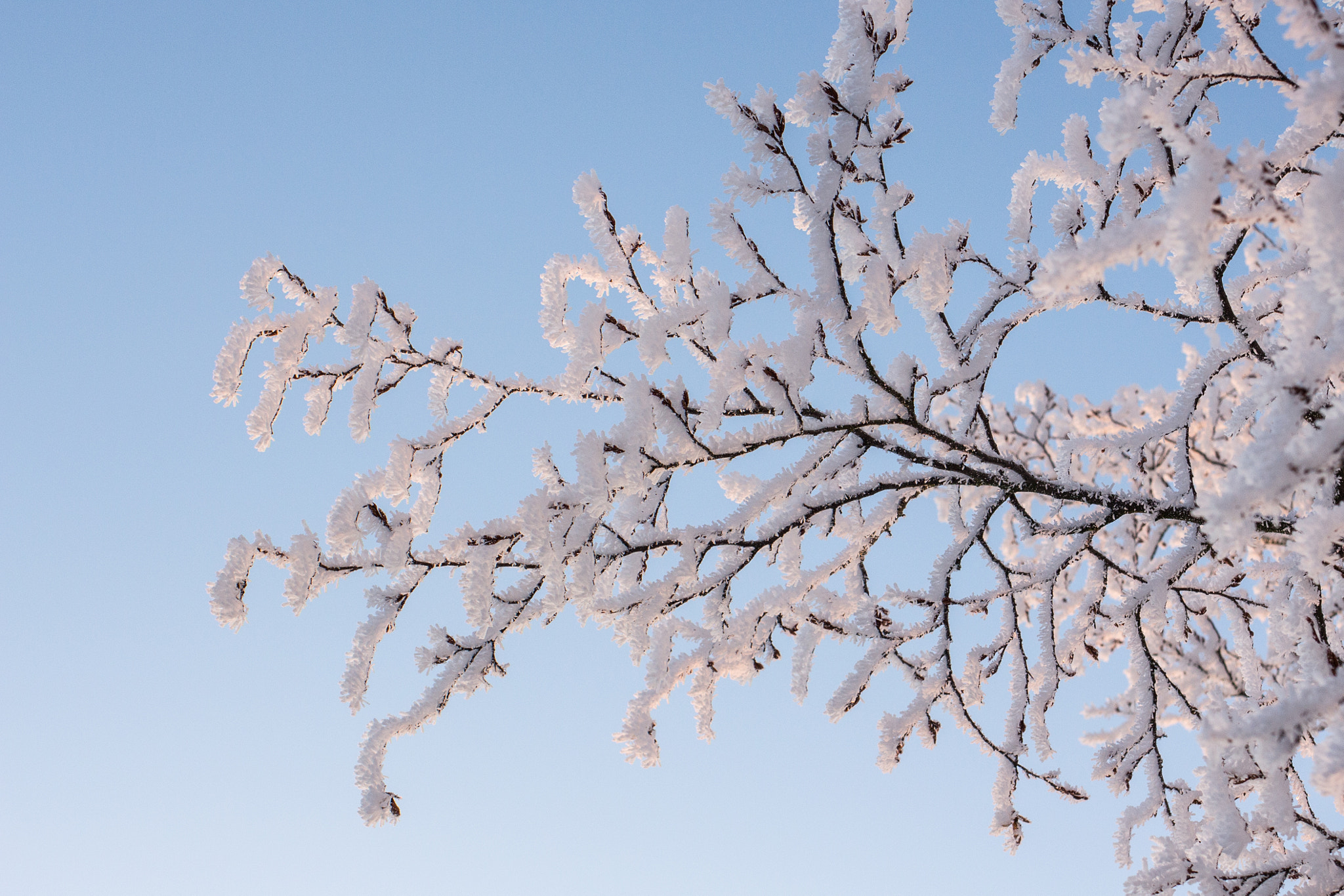 Canon EF 35mm F2 IS USM sample photo. Frosty winter wonderland 3 photography