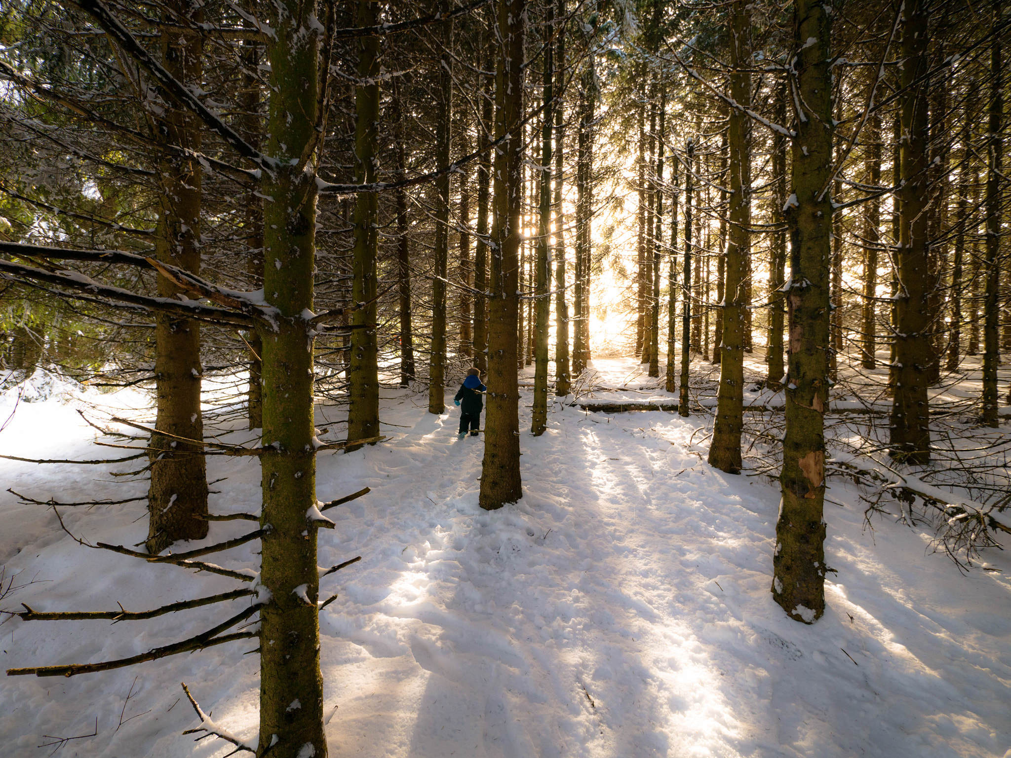 Panasonic Lumix DMC-G7 + Panasonic Lumix G Vario 7-14mm F4 ASPH sample photo. A la neige ... photography