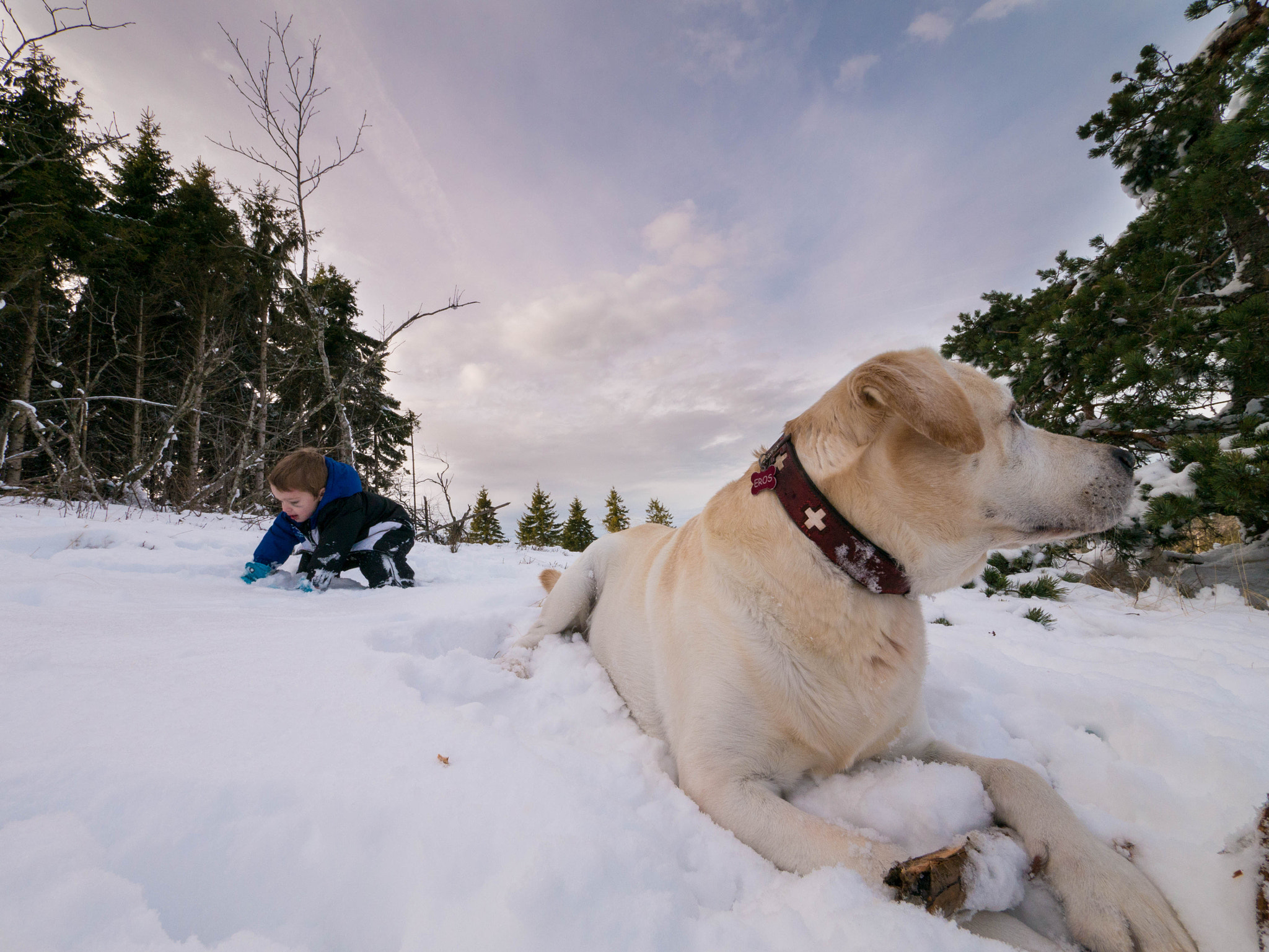 Panasonic Lumix DMC-G7 + Panasonic Lumix G Vario 7-14mm F4 ASPH sample photo. A la neige ... photography