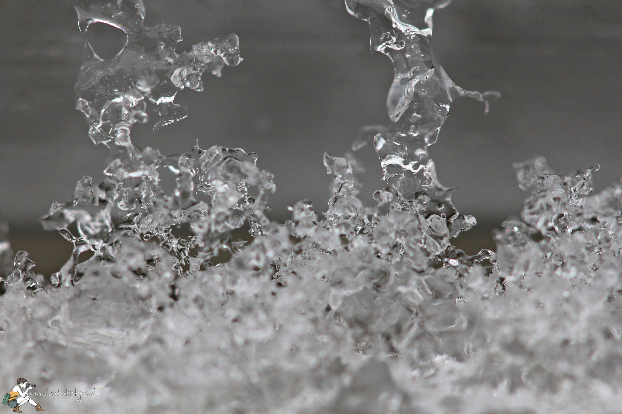 Canon EF 100mm F2.8 Macro USM sample photo. Freezing rian photography